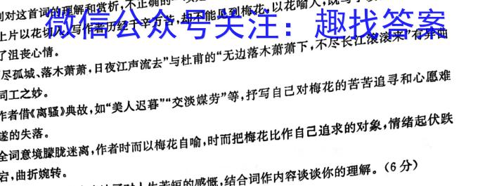 2023年河北省初中毕业生升学文化课模拟测评(十二)语文