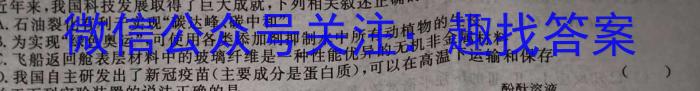 师大名师金卷2023年陕西省初中学业水平考试（八）化学