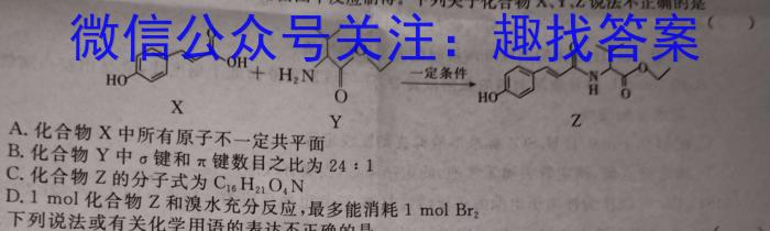 （二轮）名校之约·中考导向总复习模拟样卷（九）化学