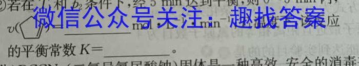 2023年河北省初中毕业生升学文化课考试(省级)大联考化学