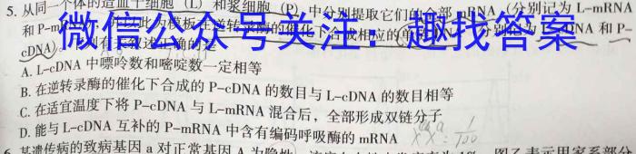 2023普通高等学校招生全国统一考试·名师原创调研仿真模拟卷(二)生物