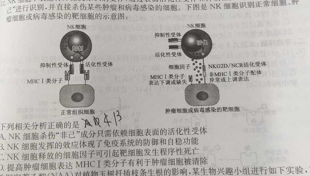 ［沈阳三模］沈阳市2023年高三年级第三次模拟考试生物