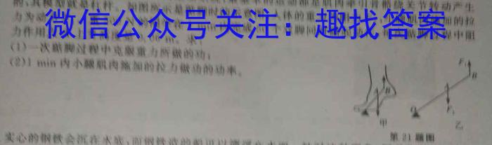 陕西省2023年初中学业水平考试联考模拟卷Al物理