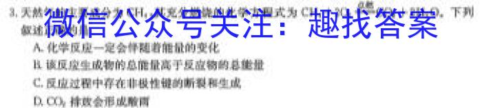 2023年陕西省初中学业水平考试信息卷(A)化学