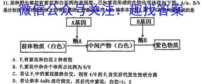 2023年高考全国乙卷生物真题（含解析）生物