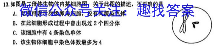 2023年吉林大联考高三年级5月联考（578C）生物