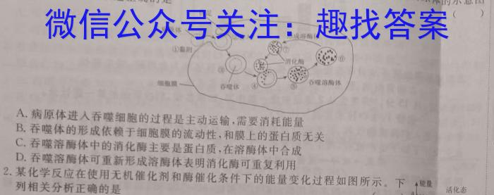 NT2023届普通高等学校招生全国统一考试模拟试卷(二)(新高考)生物试卷答案