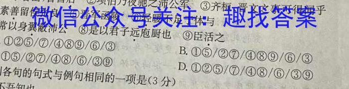 2023届普通高等学校招生全国统一考试 5月青桐鸣大联考(高三)(老高考)语文