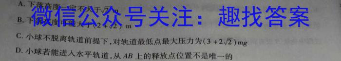 师大名师金卷2023年陕西省初中学业水平考试押题卷.物理