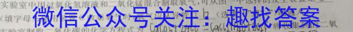 2023届中考导航总复习·模拟·冲刺·二轮模拟卷(四)4化学