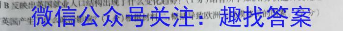 2023届银川一中、昆明一中高三联合考试二模历史