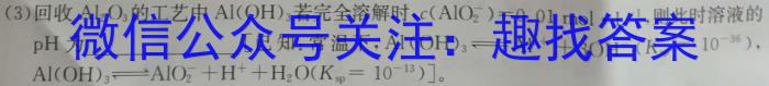2024-2023学年度下学期高三年级第五次综合素养评价(HZ)化学