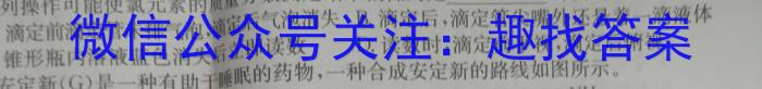 安徽省2023届九年级考前适应性评估（三）（8LR）化学