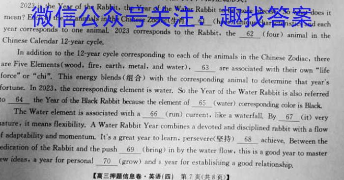 2023届山东省高三年级下学期高考针对性训练英语