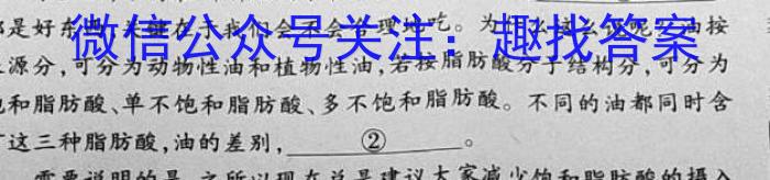 2023届普通高等学校招生全国统一考试 5月青桐鸣高三联考(新教材版)语文