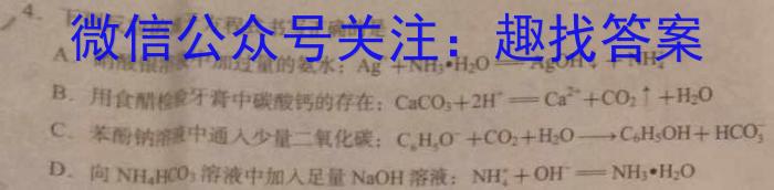 天一大联考2024-2023学年高三考前模拟化学