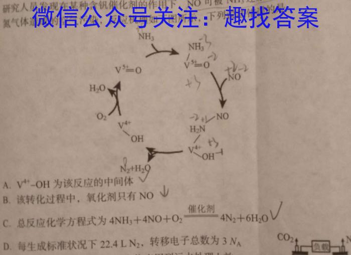 2023年普通高等学校招生全国统一考试信息模拟测试卷(新高考)(六)化学