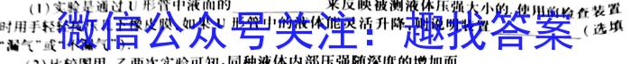 名校大联考2023届·普通高中名校联考信息卷(压轴二)q物理