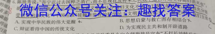 圆创联盟 湖北省2023届高三五月联合测评历史