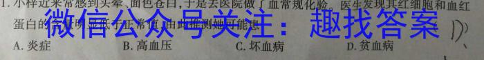 2023年河北省初中毕业生升学文化课考试(省级)大联考生物