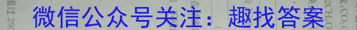 2023年安徽省中考冲刺卷(二)化学