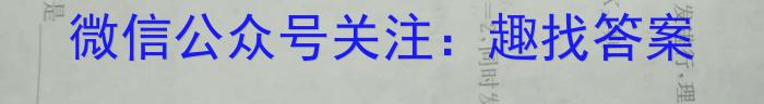 安徽省2022-2023学年度八年级下学期阶段评估（二）【7LR-AH】化学