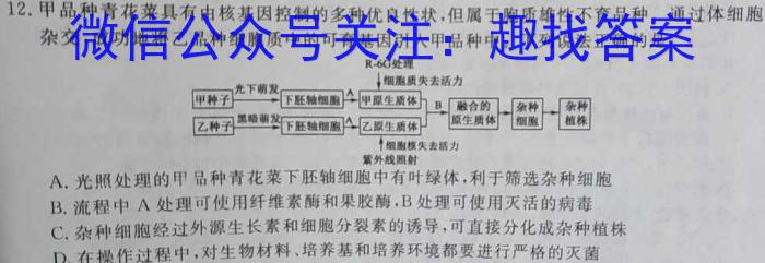 2023届中考导航总复习·模拟·冲刺·二轮模拟卷(四)4生物