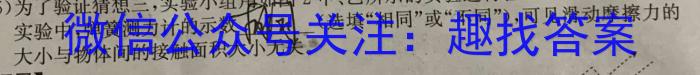 衡中同卷 2022-2023学年度下学期高三五调考试(全国卷).物理