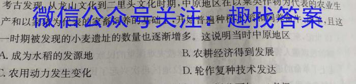 2023届青海省高三5月联考(标识■)历史