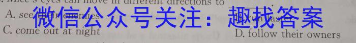 2023届中考导航总复习·模拟·三轮冲刺卷(二)2英语