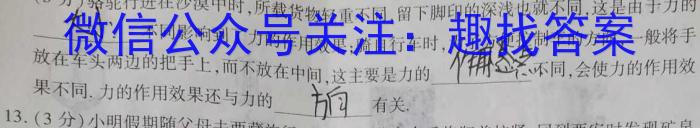 强基路985天机密卷 2023年普通高等学校统一招生模拟考试(新高考全国Ⅰ卷)z物理