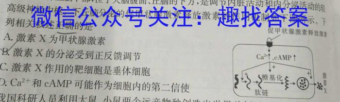 2023年高考真题（新课标I卷）数学试卷 （word版）生物试卷答案