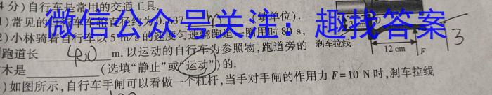 江西省2023年初中学业水平考试模拟试卷（二）物理`