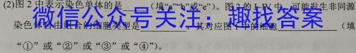 2023年普通高等学校招生伯乐马押题考试(二)生物
