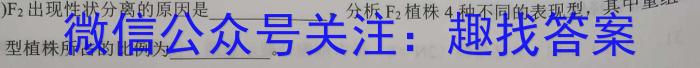 2023年普通高等学校招生全国统一考试·专家猜题卷(四)生物