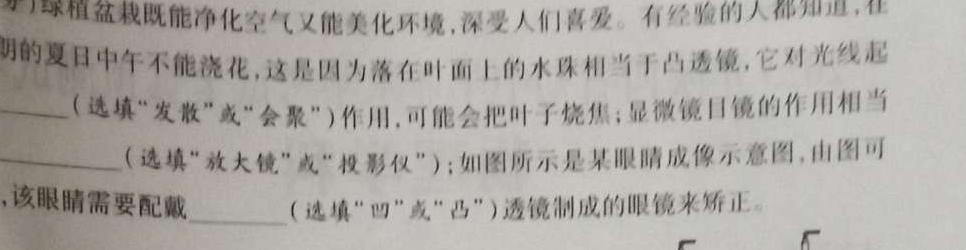 2022-2023学年河北省高二年级下学期5月份联合考试(23-482B)-物理