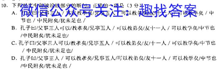 河南省名校联盟2022~2023学年高三下学期5月联考(2023.5)(3493C)语文