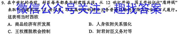 2023年陕西大联考高三年级5月联考（578C-乙卷）政治s