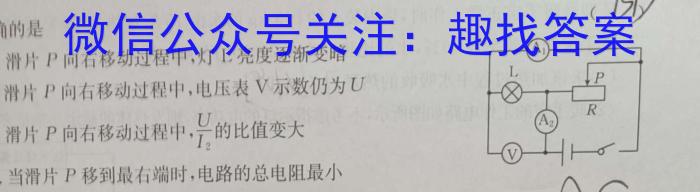 安徽省2023年中考适应性检测（二）.物理