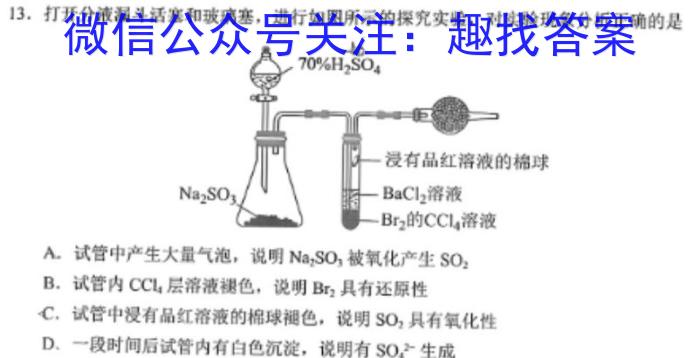 2023年湖北省部分名校高二下学期5月联考化学