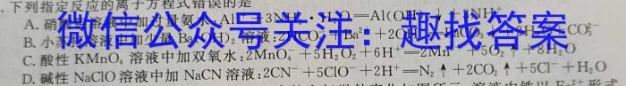 山西省2023届九年级山西中考模拟百校联考考试卷（三）化学