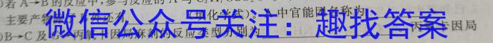 玖壹联考 安徽省2022~2023学年高一年级下学期阶段检测考试(5月)化学