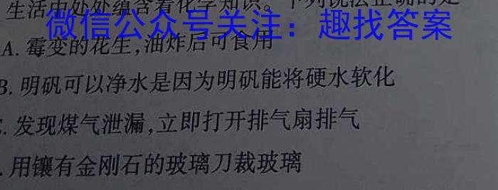 运城市2022-2023学年第二学期九年级教学质量监测（23-CZ175c）化学