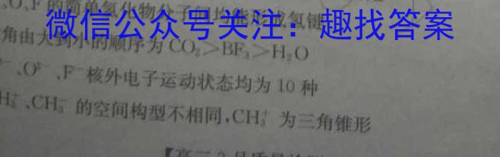 2023届安徽省中考规范总复习(九)化学