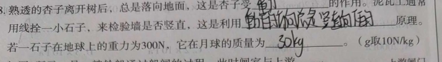 2022学年第二学期浙江强基联盟高一5月统测(23-FX11A)-物理