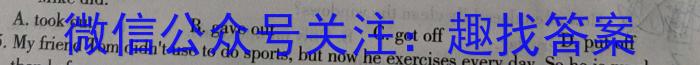 2023届普通高校招生全国统一考试·NT精准考点检测重组卷(全国卷)(二)英语