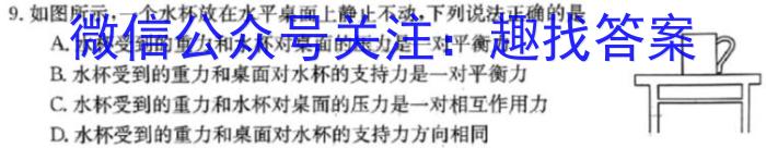 ［上饶二模］江西省上饶市2023届九年级教学质量测试z物理