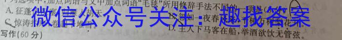 2023年辽宁大联考高三年级5月联考（578C·LN）语文