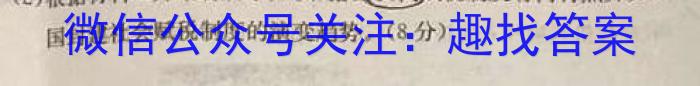 2023年湖南省普通高中学业水平合格性考试高一仿真试卷(专家版四)历史