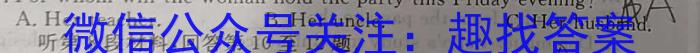 2023年安徽省中考联盟压轴卷（三个三角形）英语